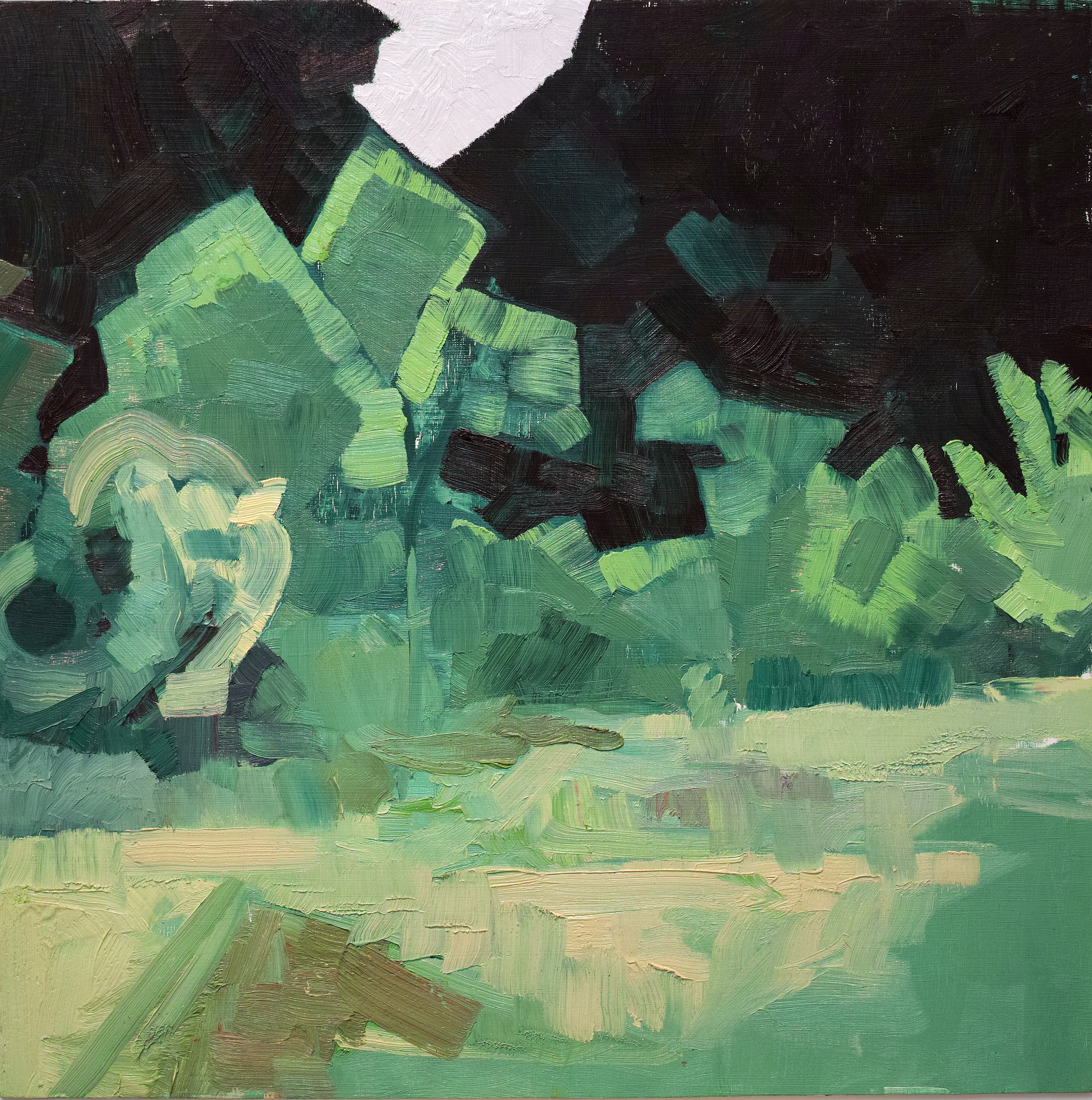 Mayville Up Close, 1991, oil on plywood, 24 x 24 inches