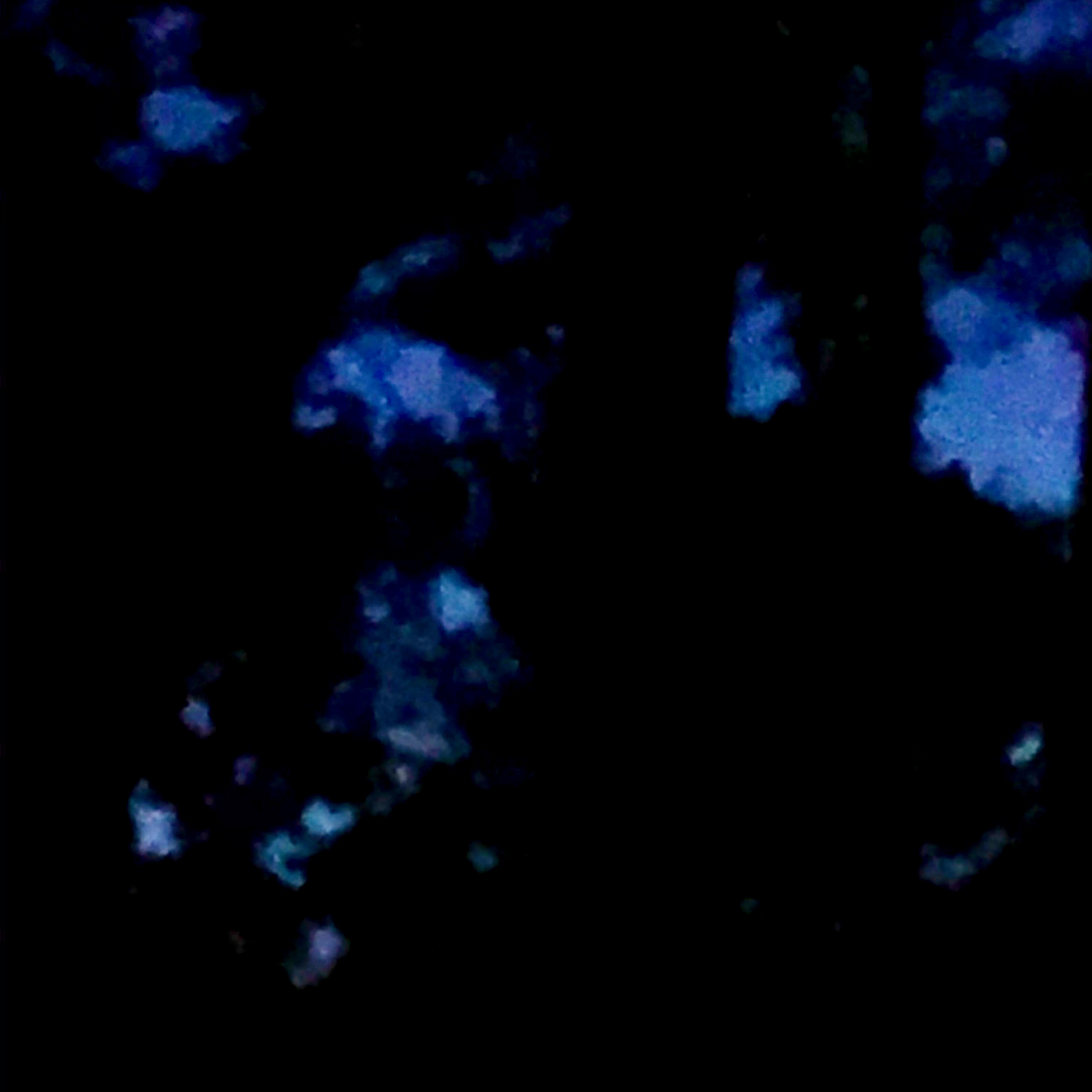 "Waning Harvest Moon," Manipulated Source Photograph "Waning Harvest Moon," Manipulated Source Photograph