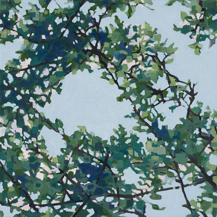 Apple Tree, 5/28/19, 12:50, 43.529892, -70.309813, 2020, oil on canvas, 12 x 12 inches