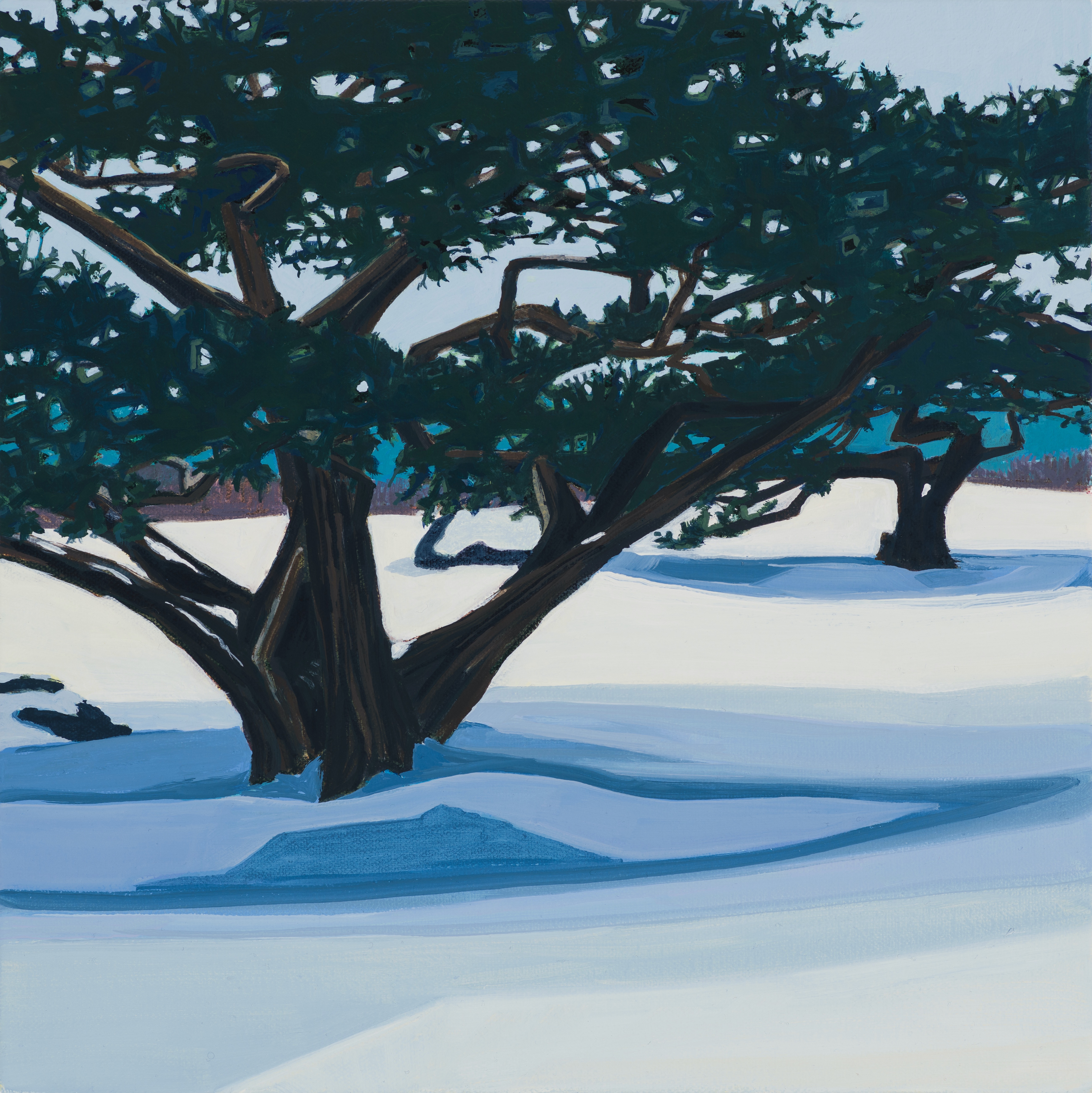 Snow Shadows, 1/20/19, 13:07, 43.528508, -70.319663, 2021, oil on canvas, 12 x 12 inches