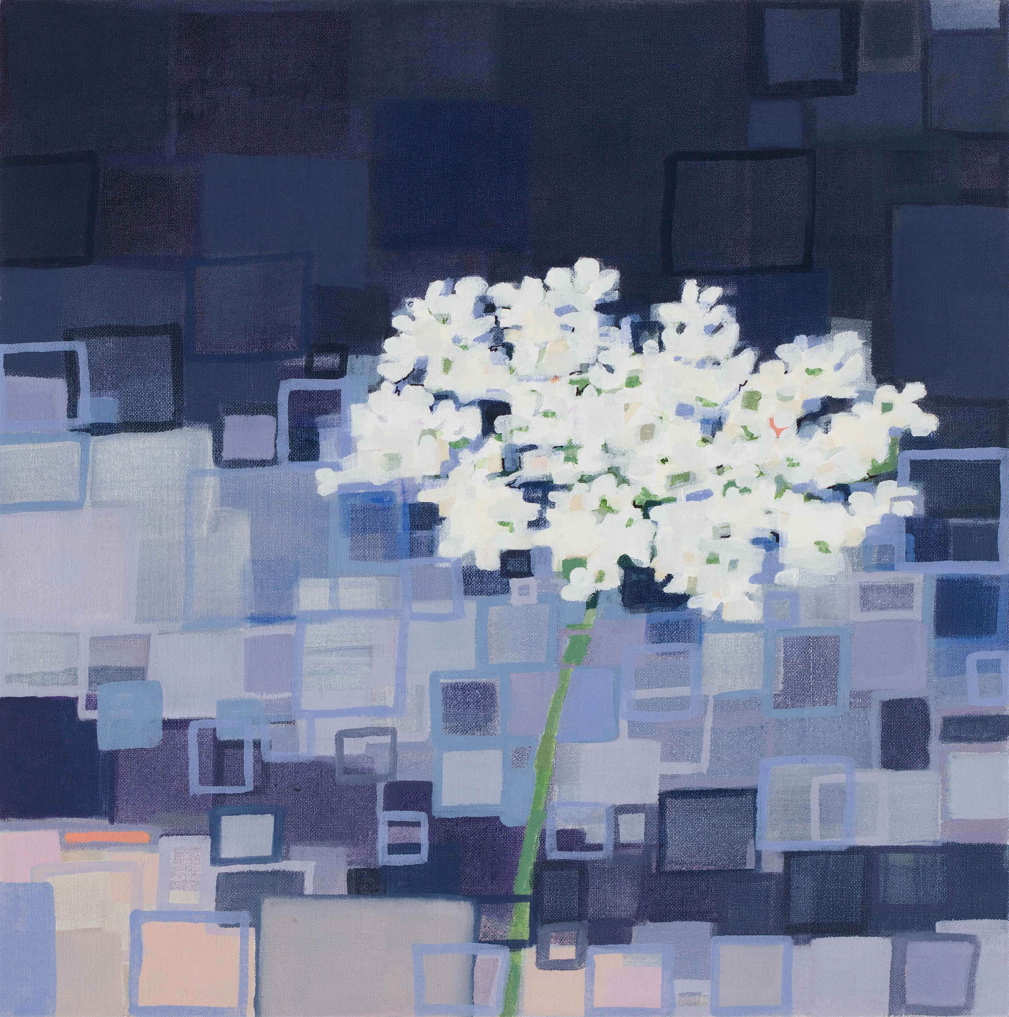 Wild Carrot-Queen Anne's Lace, 8/5/19, 11:43, 43.530125, -70.310397, 2020, oil on canvas, 12 x 12 inches
