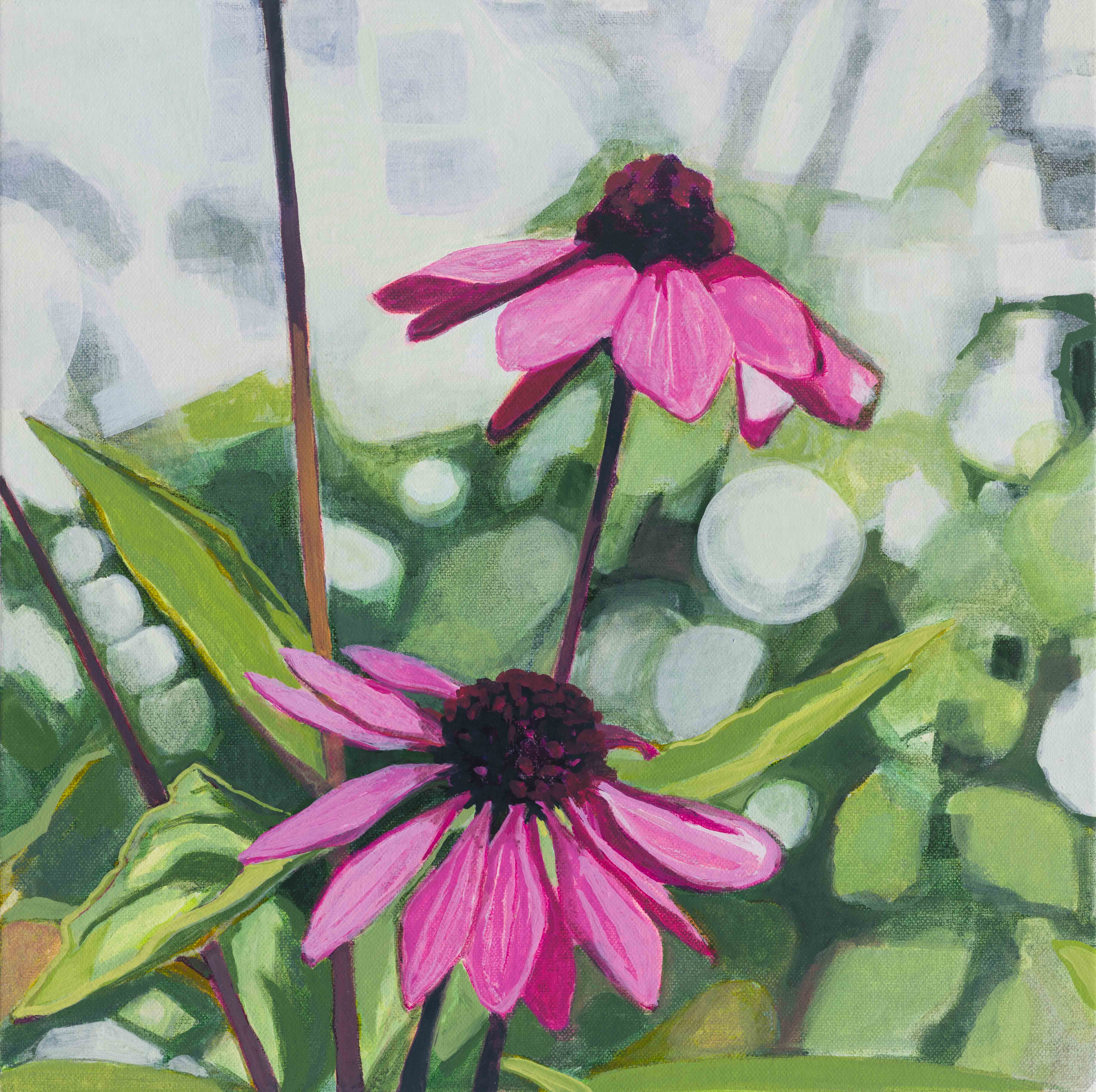 Echinacea / Scarborough, 2025, oil on canvas, 12 x 12 inches