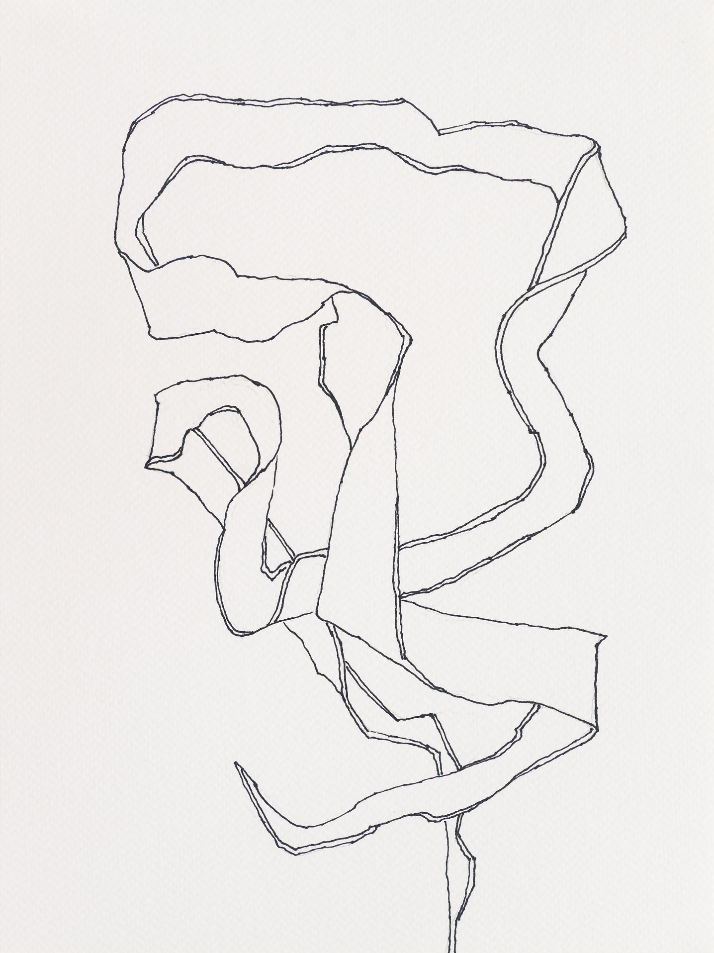 Horsetail Kelp / Lobster Cove, 2023, ink on paper, 12 x 9 inches