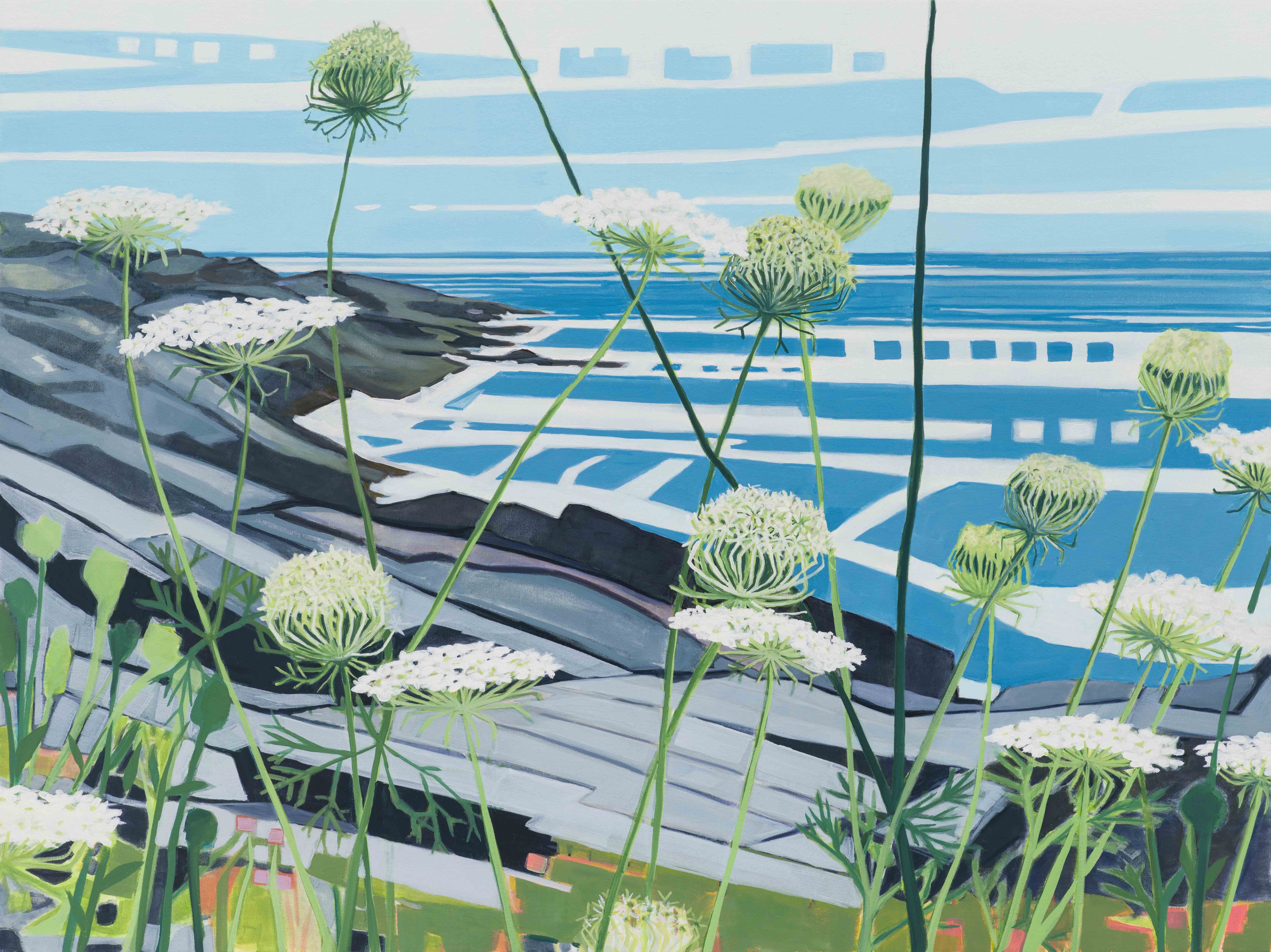 Wild Carrot / Picnic Rocks, 2025, oil on canvas, 30 x 40 inches