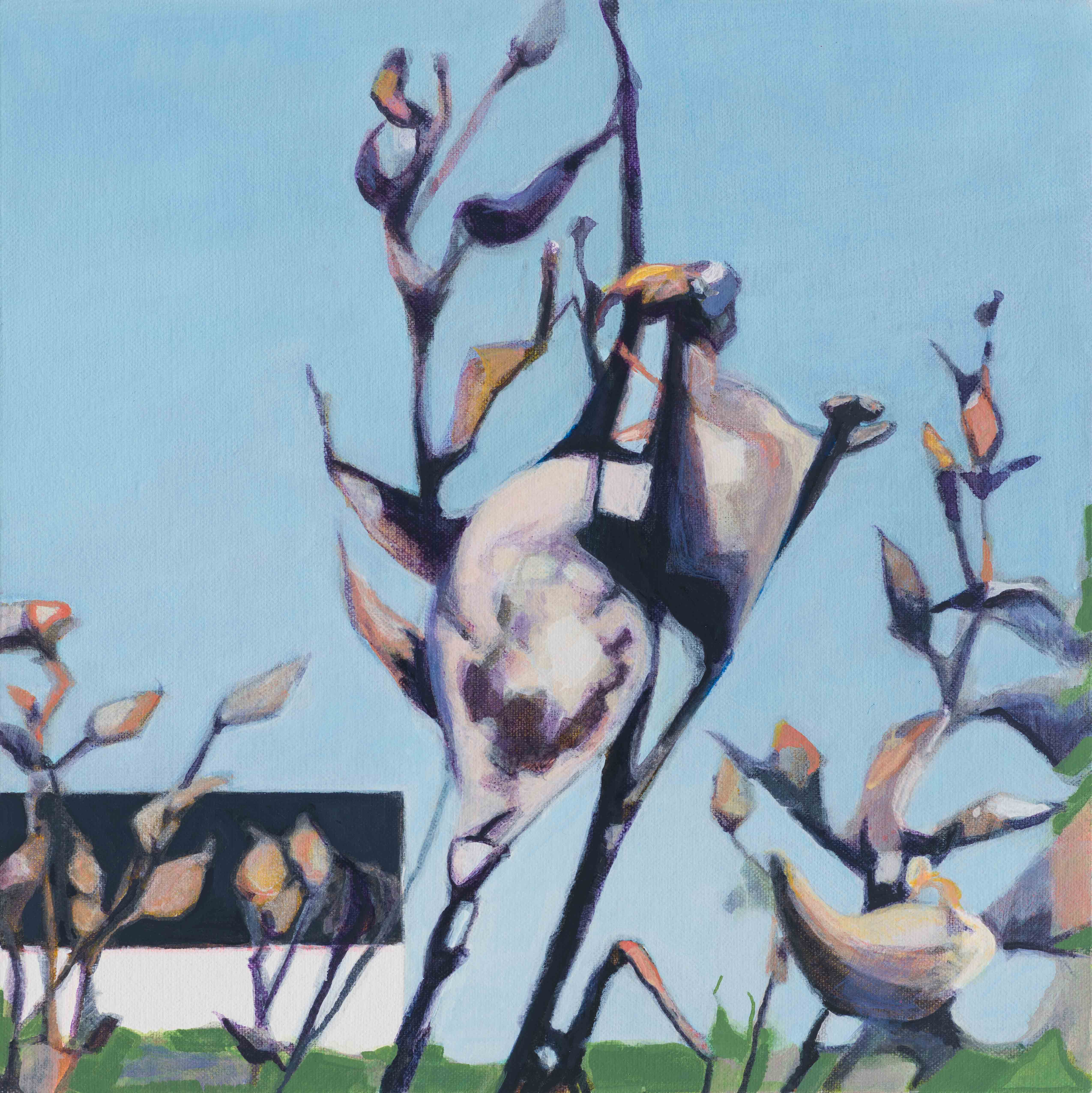 Milkweed Pods / Lobster Cove Road, 2025, oil on canvas, 12 x 12 inches