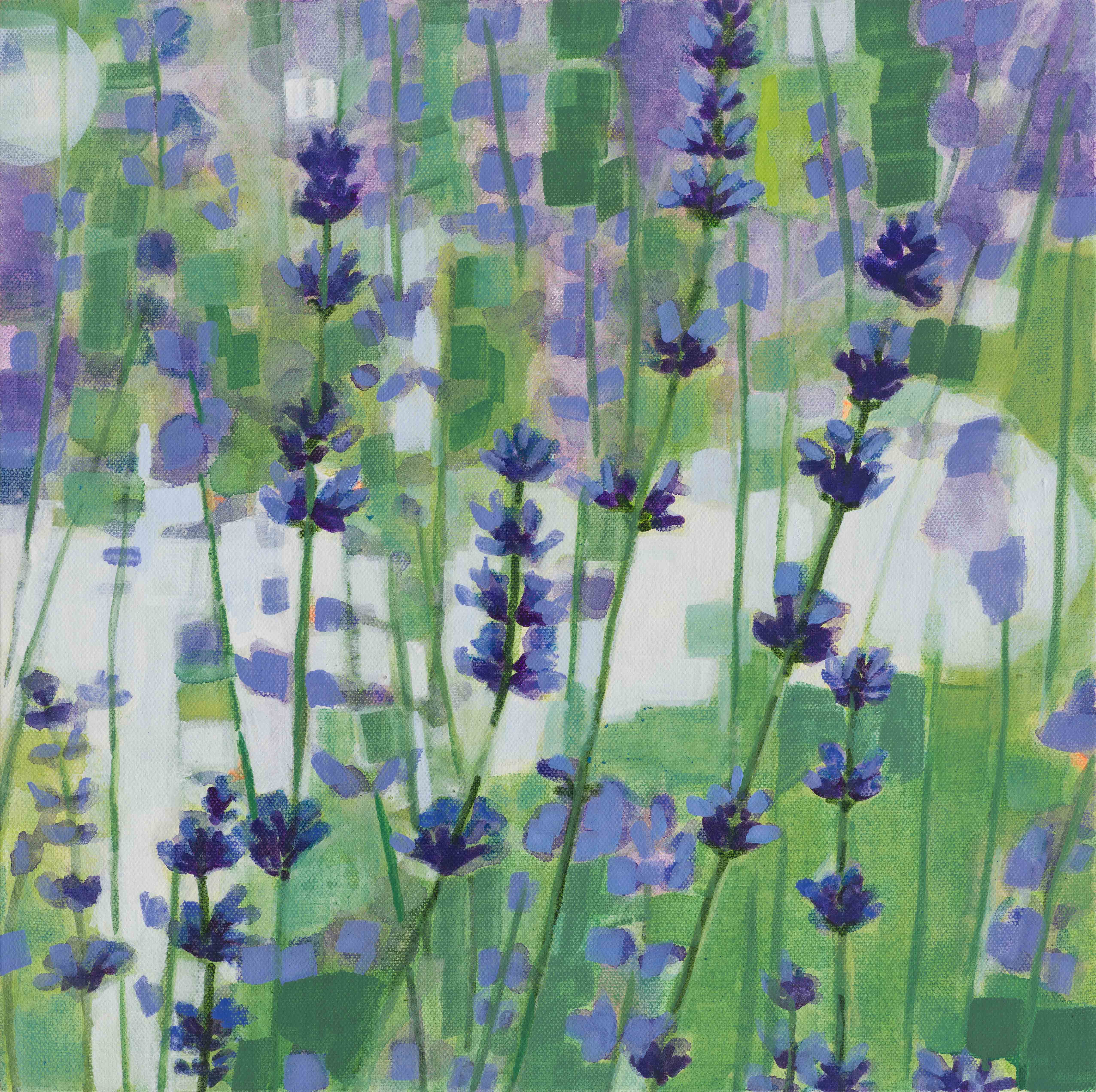 Lavender / Scarborough 2, 2025, oil on canvas, 12 x 12 inches
