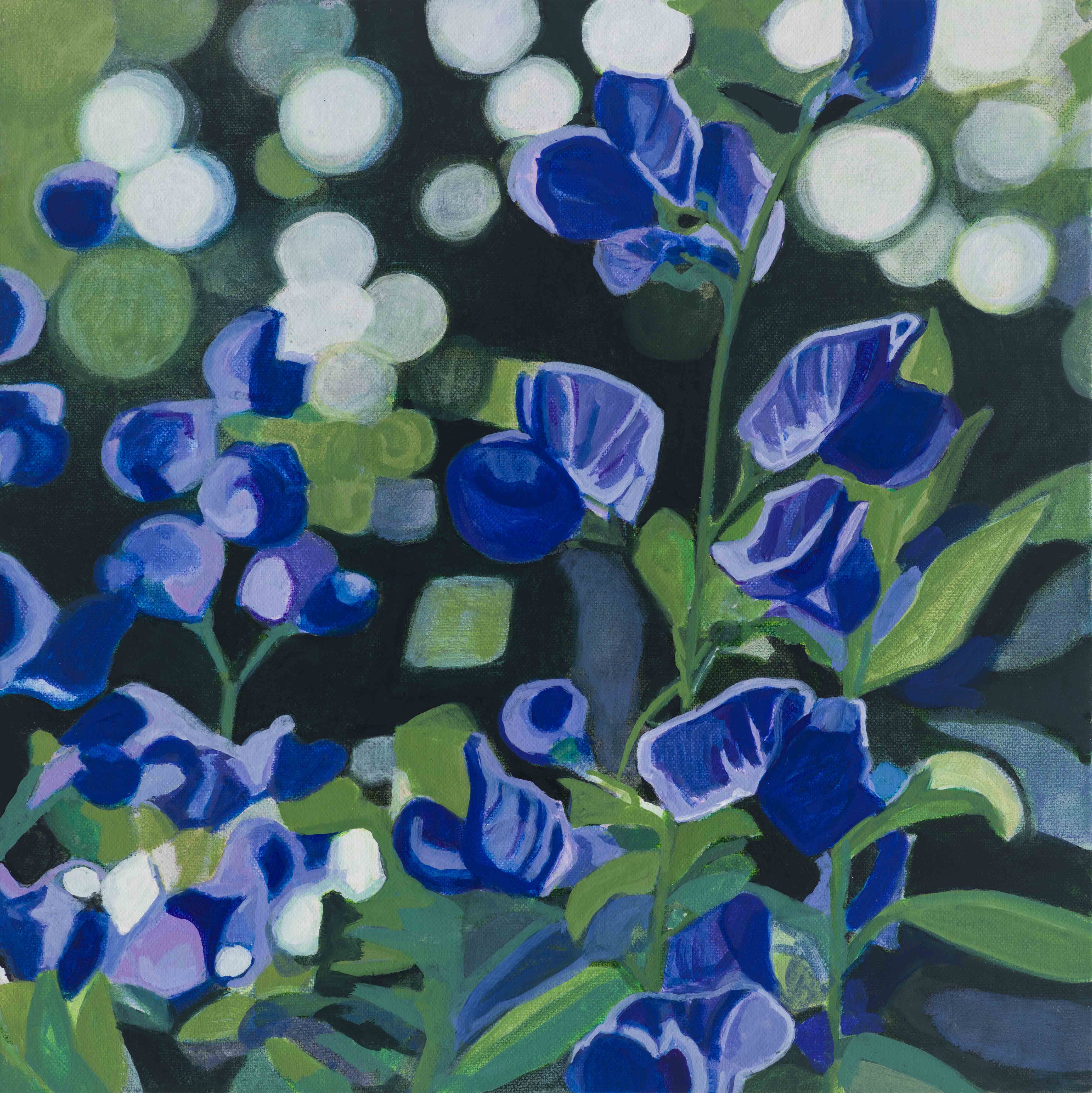Wild Pea / Beach Path 2, 2025, oil on canvas, 12 x 12 inches