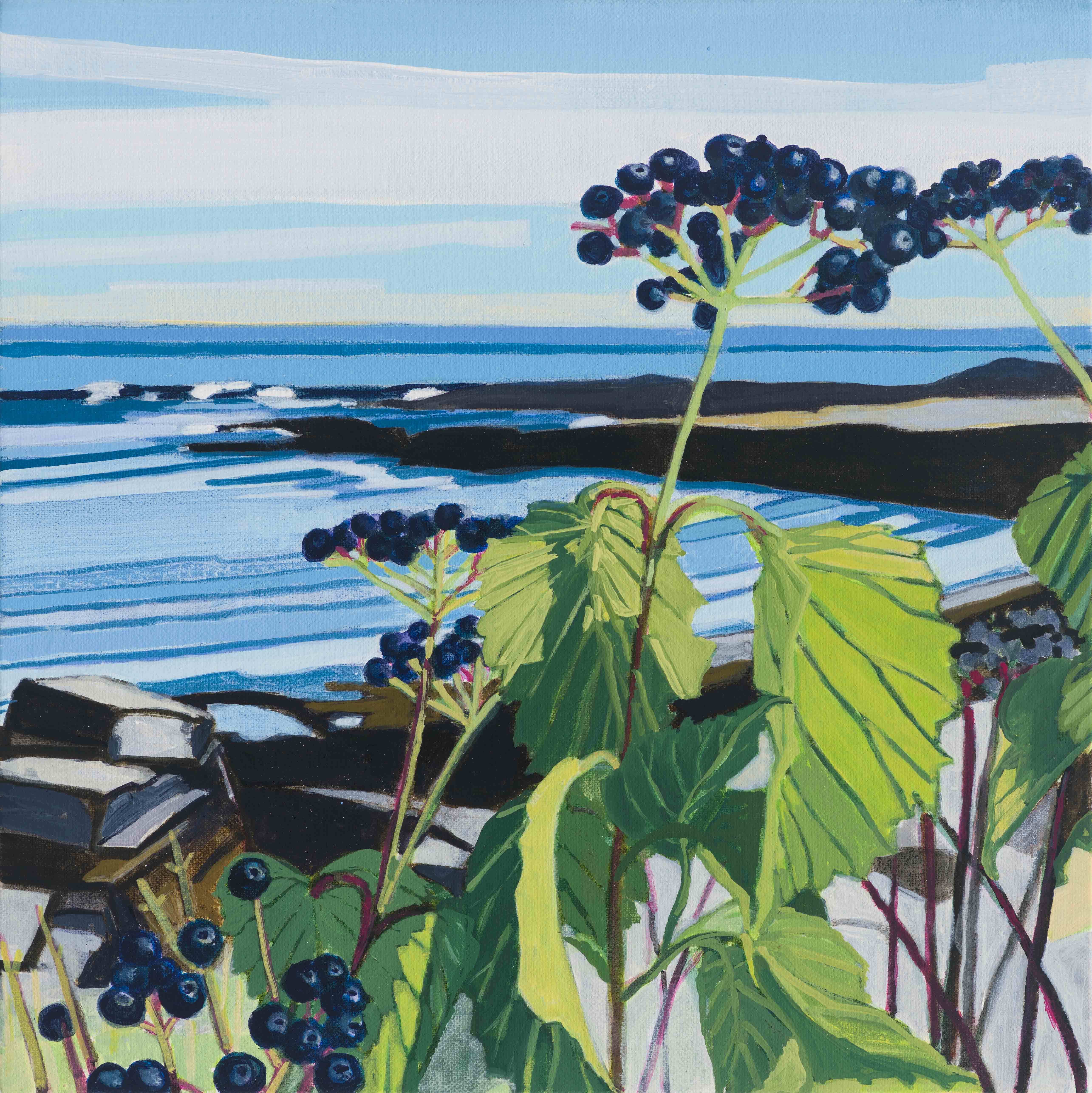 Arrowwood Viburnum / Near Jocelyn Road, 2025, oil on canvas, 12 x 12 inches