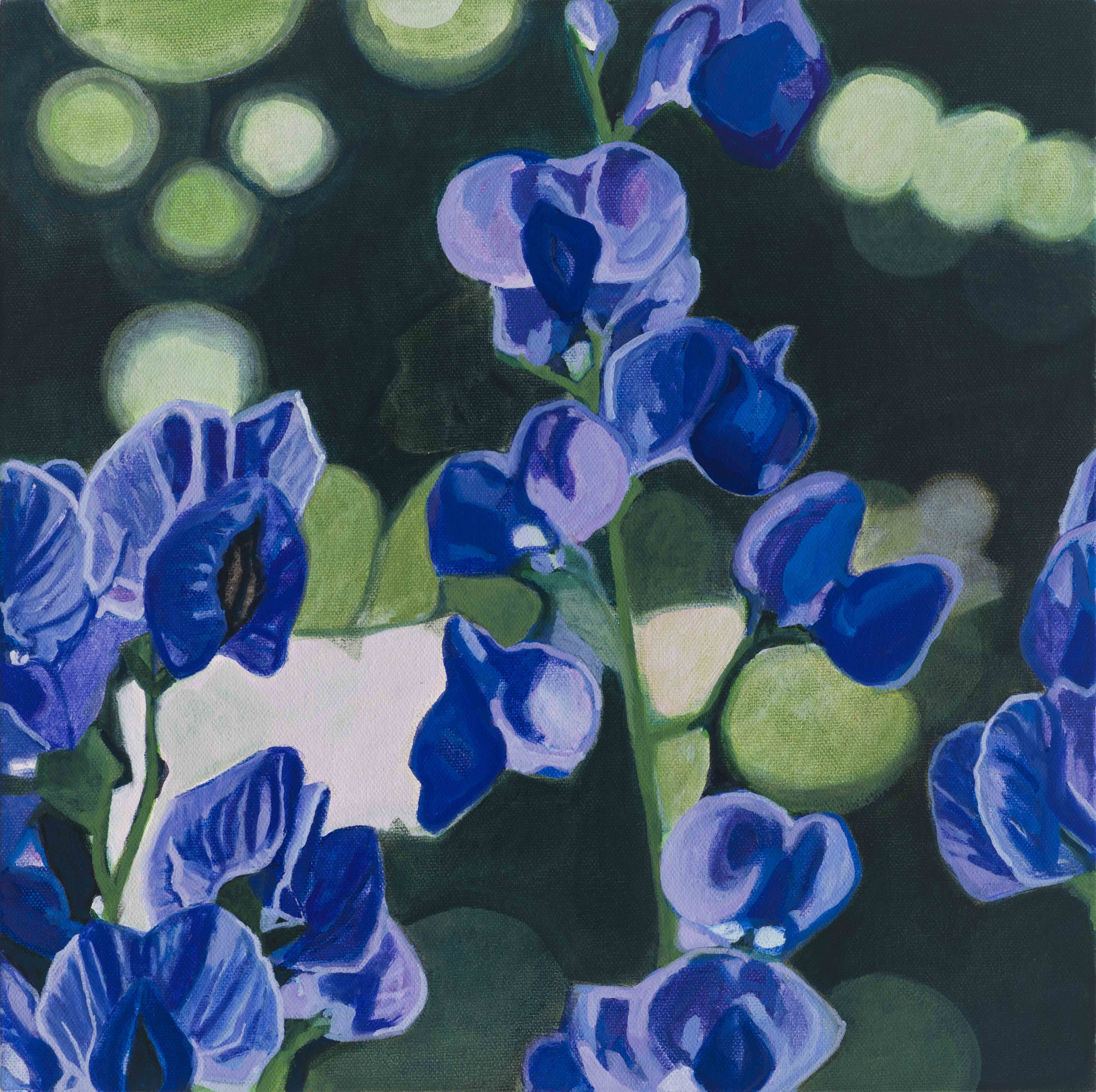Wild Pea / Beach Path 1, 2025, oil on canvas, 12 x 12 inches