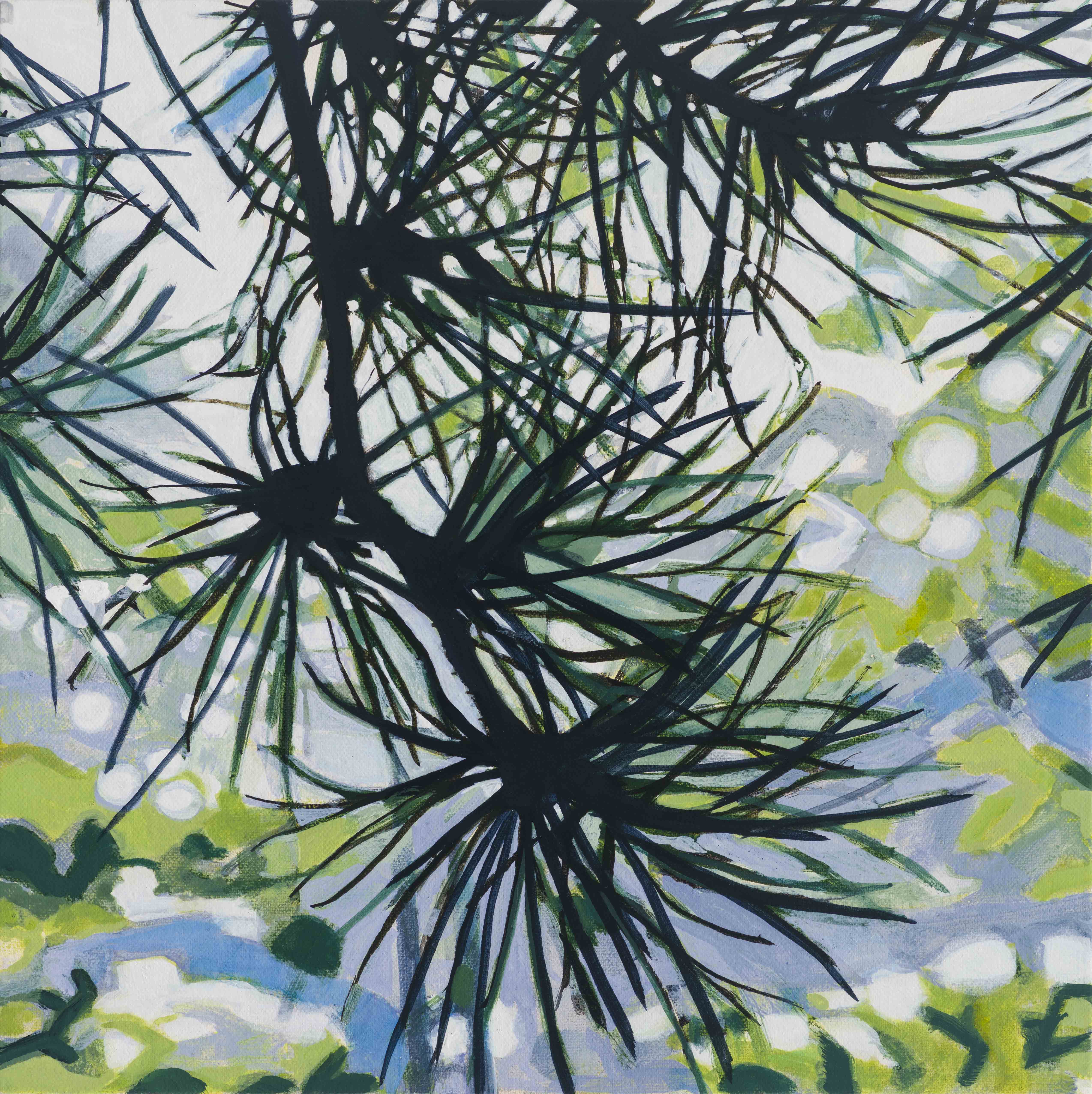 Jack Pine / Acadia Mountain, 2025, oil on canvas, 12 x 12 inches