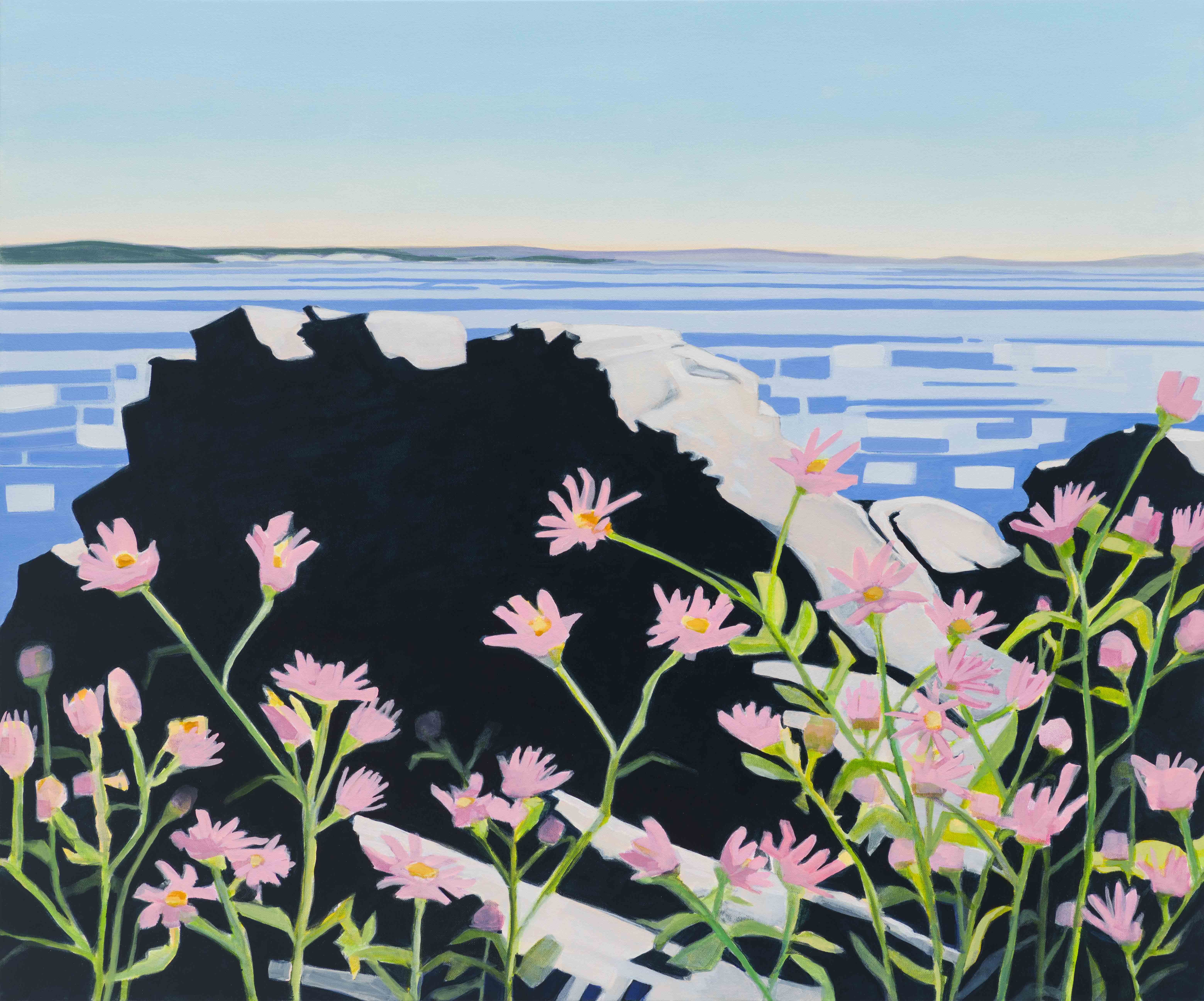 Wild Asters / Kettle Cove, 2025, oil on canvas, 30 x 36 inches