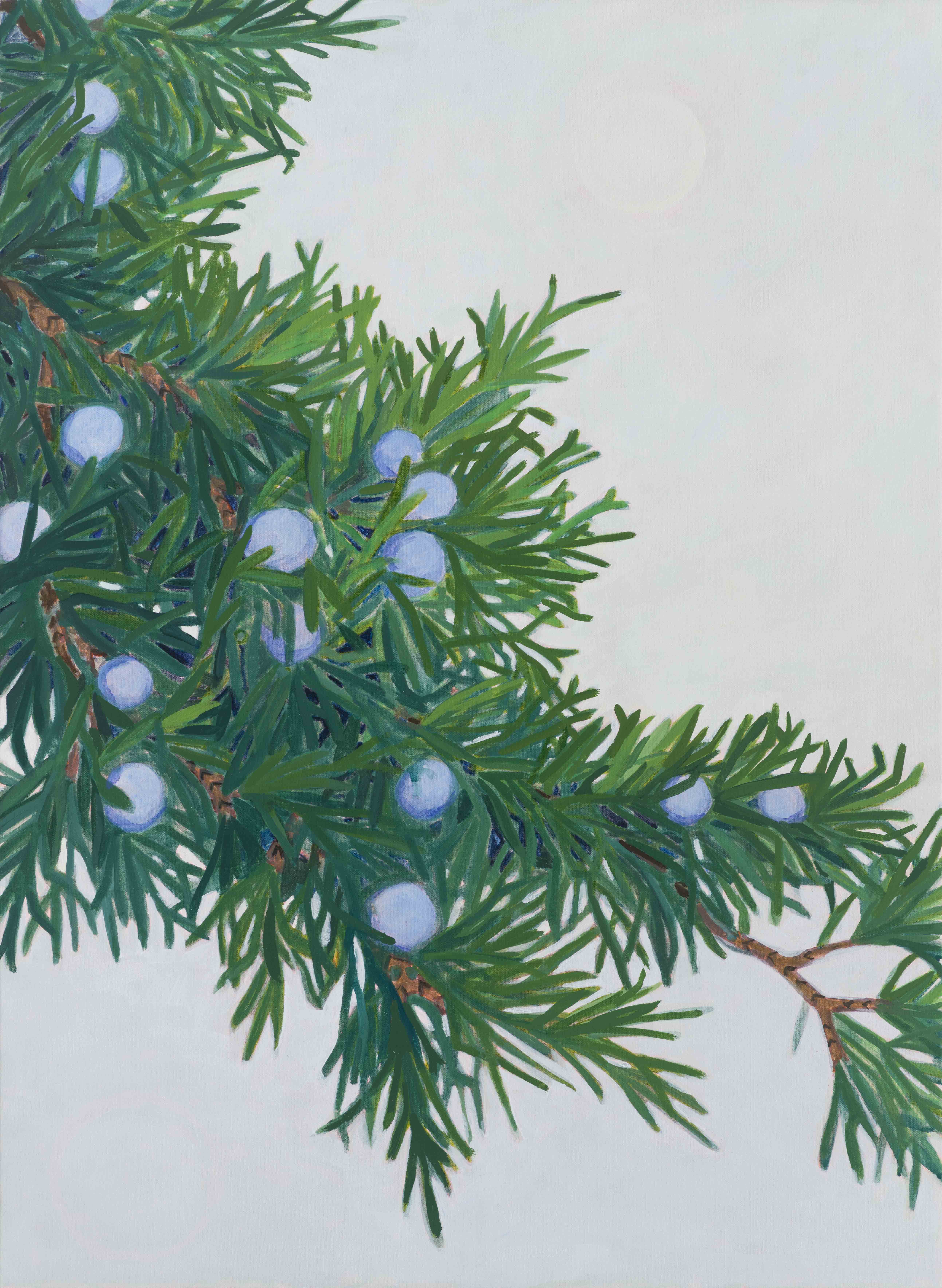 Juniper / Davis Street, 2025, oil on canvas, 30 x 22 inches