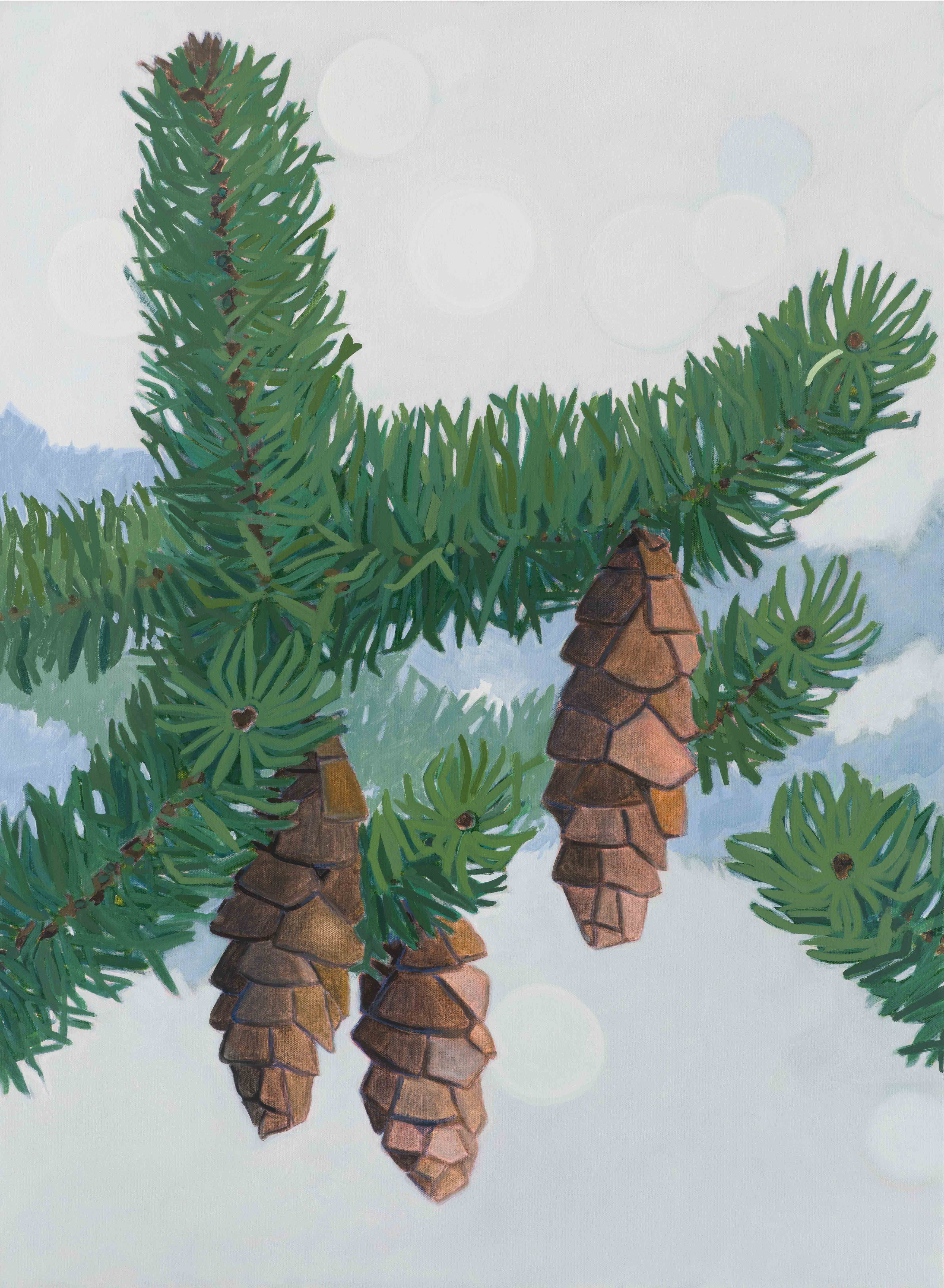 White Spruce / Christmas Cove, 2025, oil on canvas, 30 x 22 inches