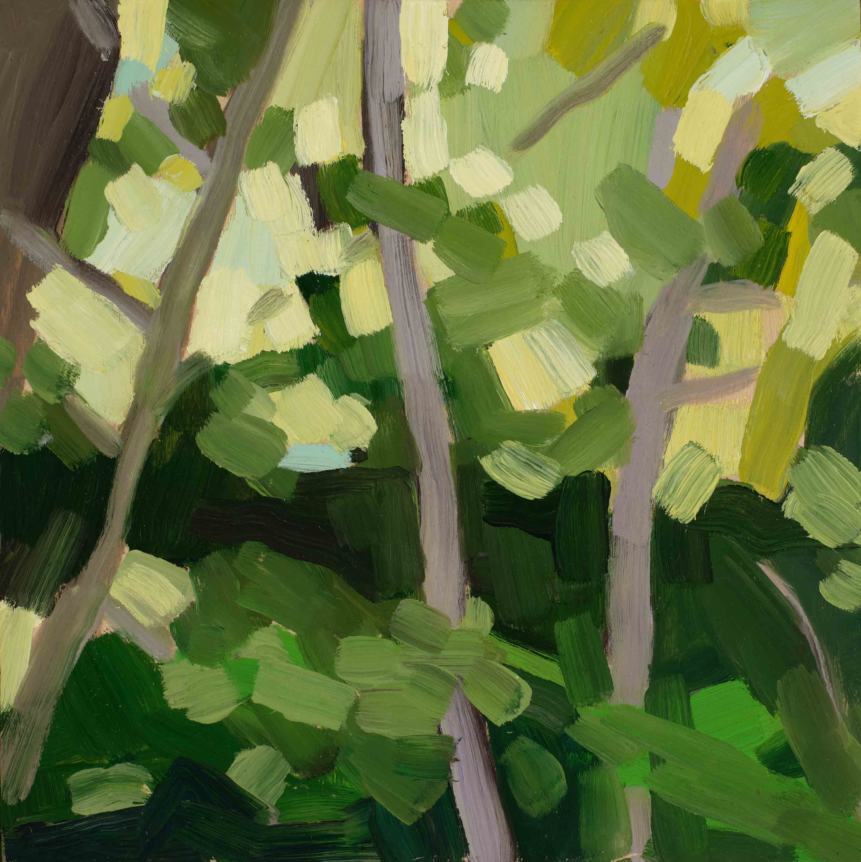 Forest Studies 5, 2025, oil on panel, 6 x 6 inches