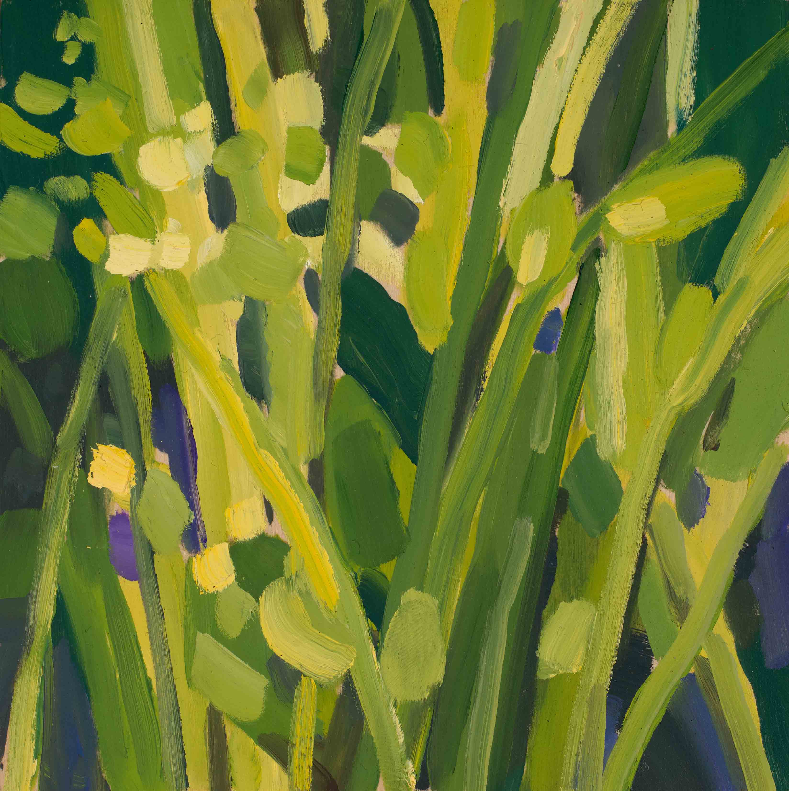 Meadow Studies 3, 2025, oil on panel, 6 x 6 inches