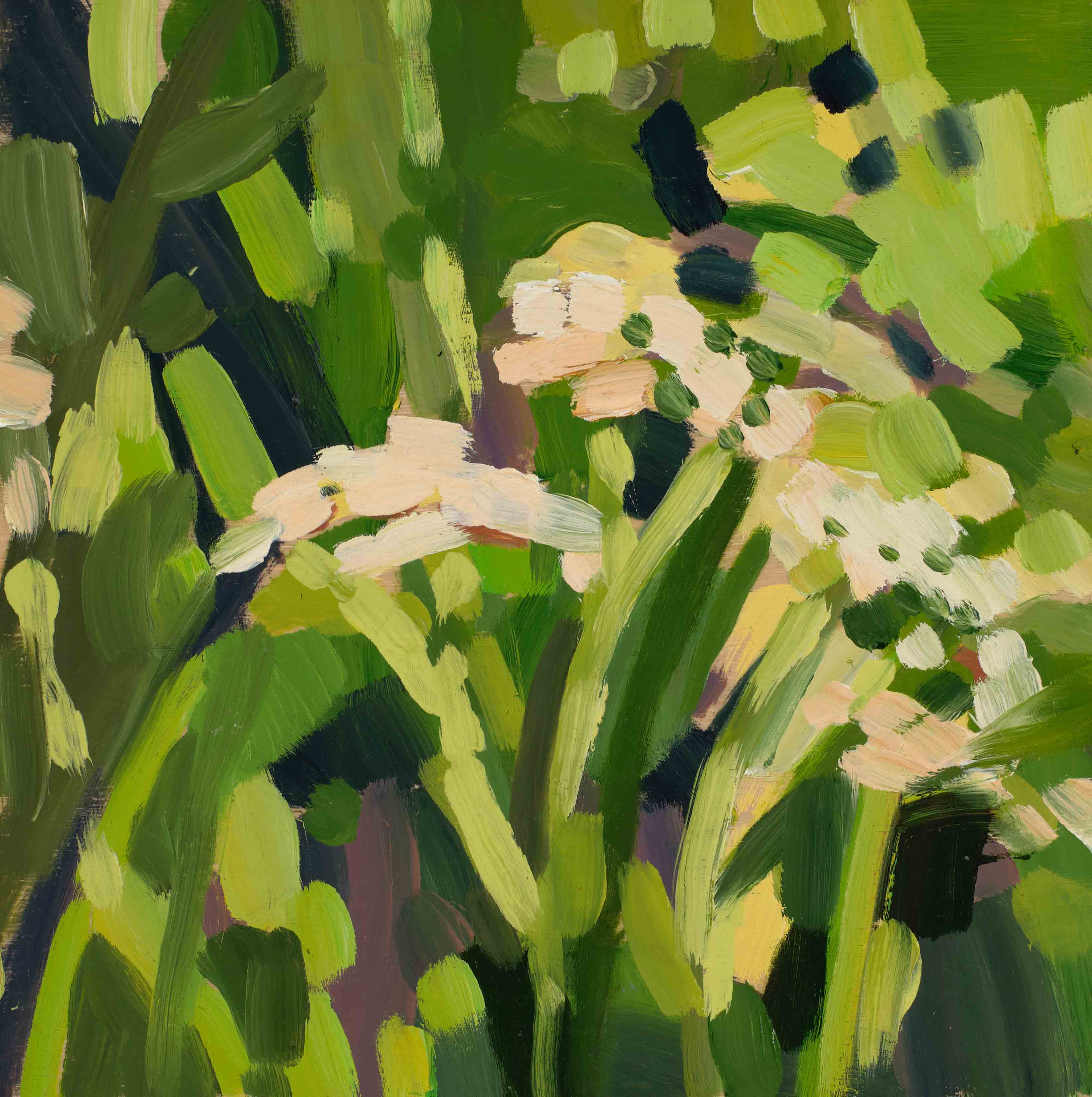 Meadow Studies 4, 2025, oil on panel, 6 x 6 inches