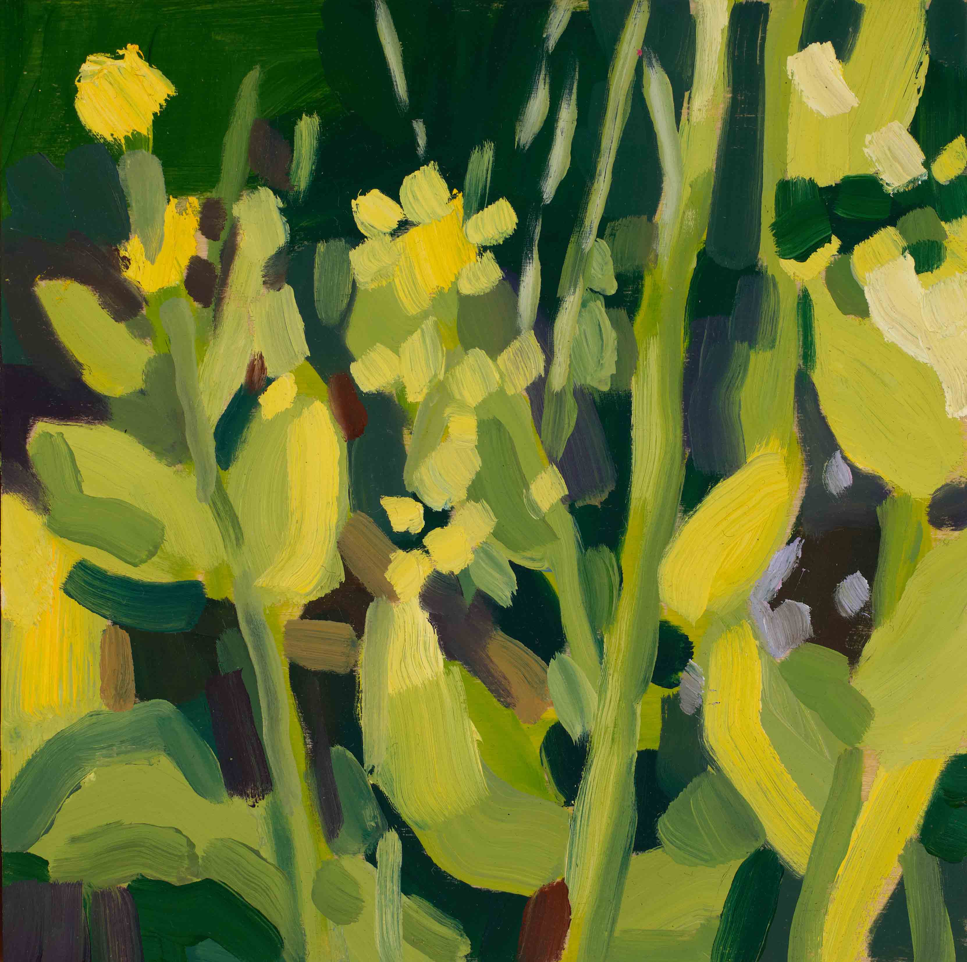Meadow Studies 9, 2025, oil on panel, 6 x 6 inches