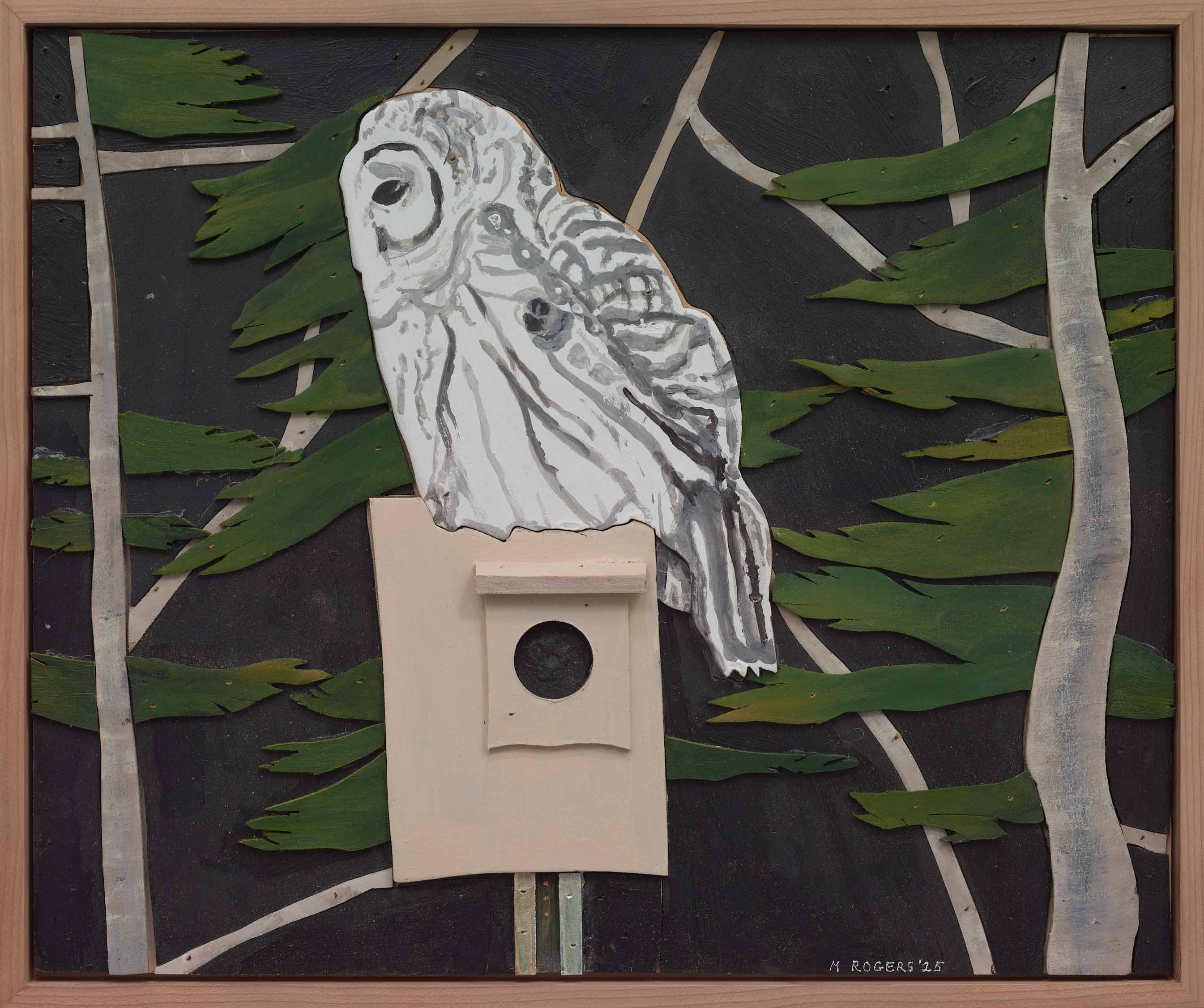 MAC ROGERS, Barred Owl, 2025, mixed media, 14.5 x 17.25 inches