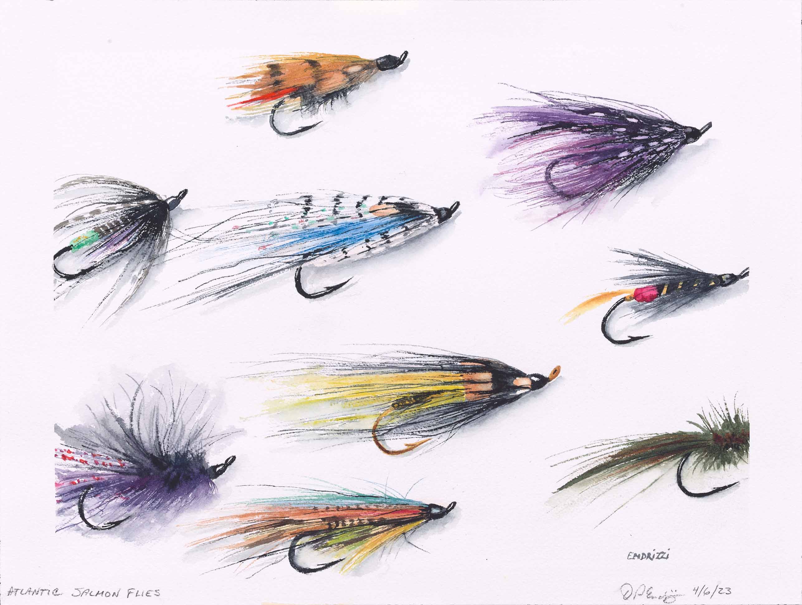DON ENDRIZZI, Atlantic Salmon Flies, 2023, watercolor on paper, 12 x 16 inches