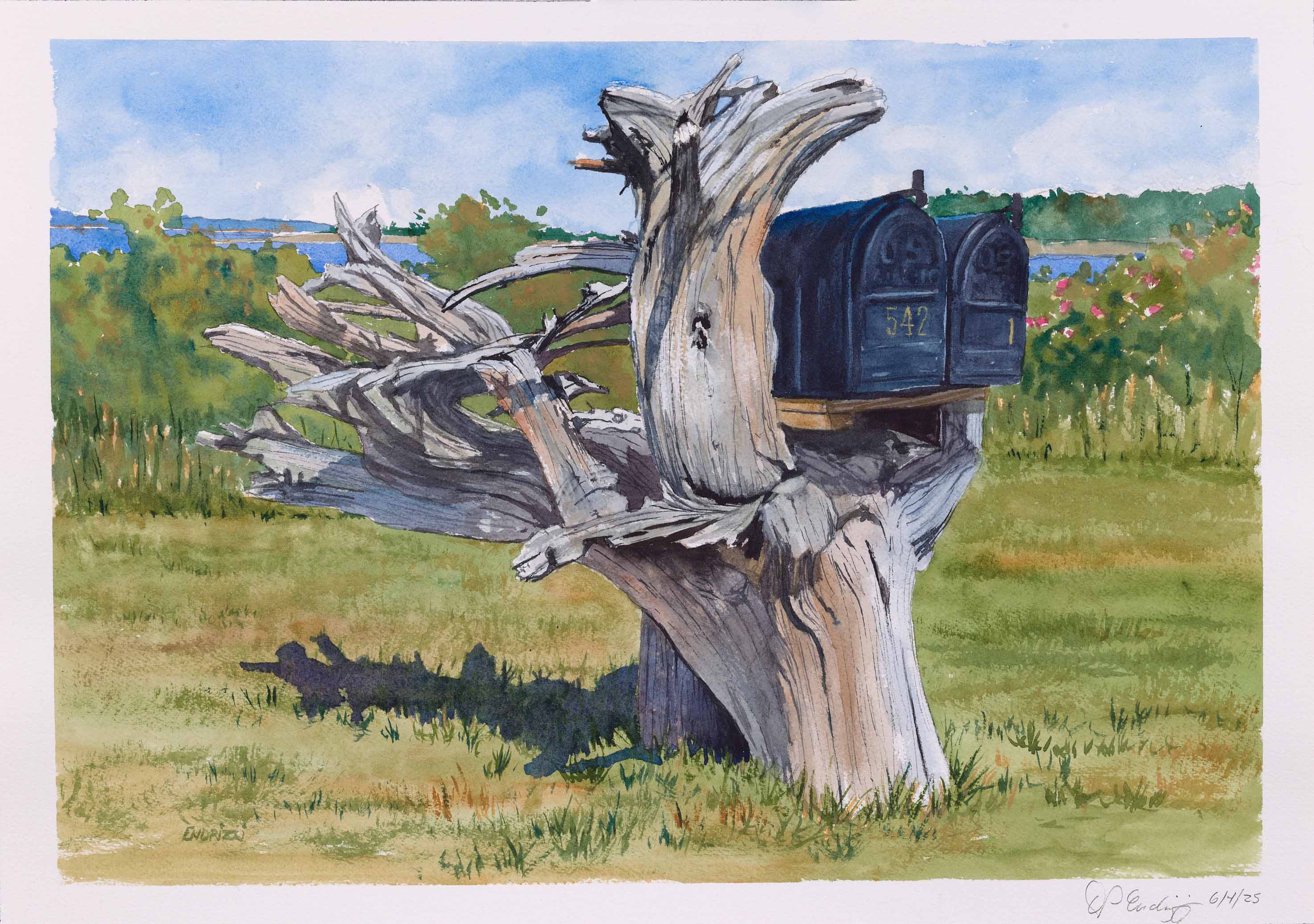 DON ENDRIZZI, Mailboxes - Black Point Road, 2025, watercolor on paper, 18 x 24 inches