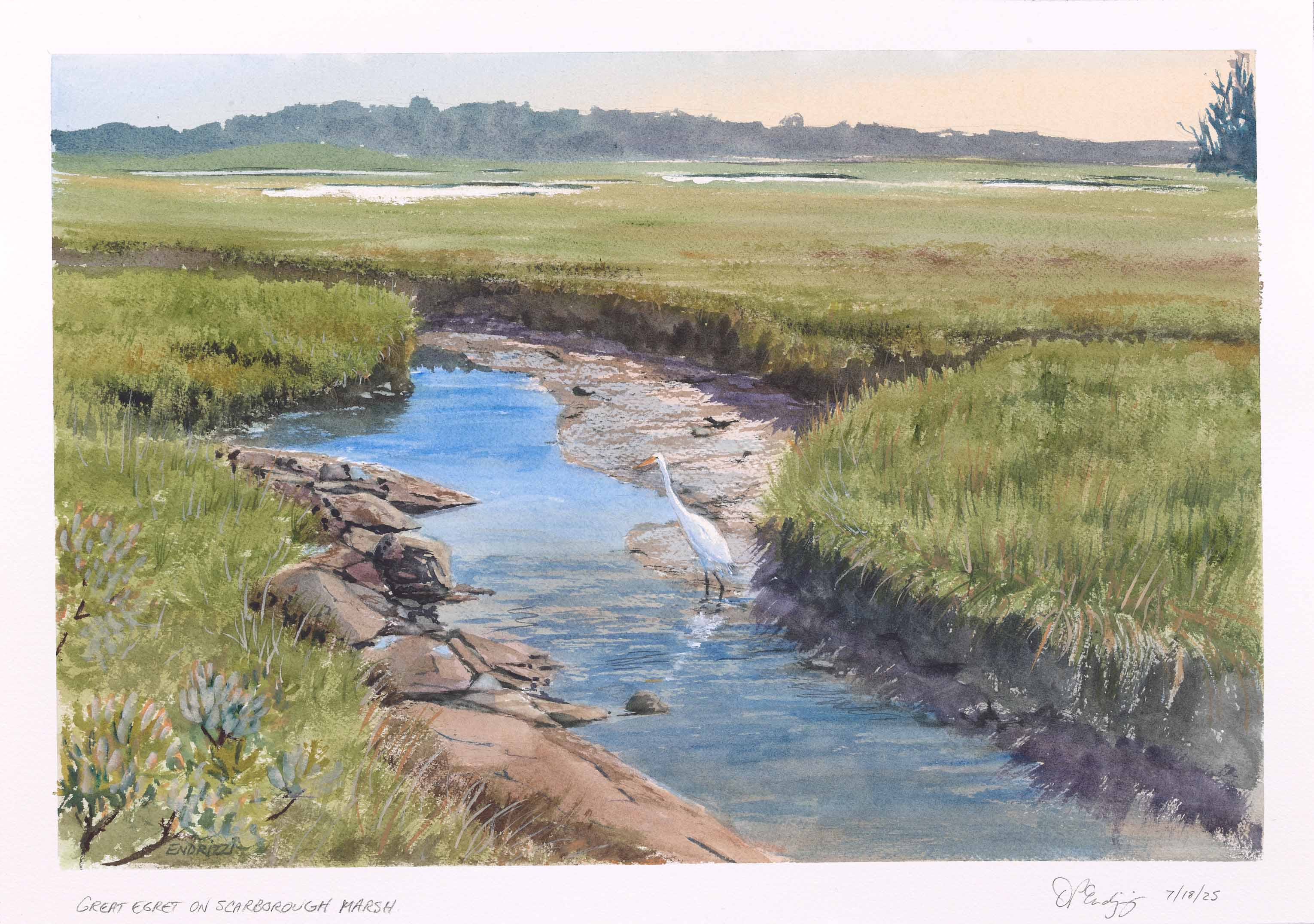 DON ENDRIZZI, Great Egret on Scarborough Marsh, 2025, watercolor on paper, 18 x 24 inches