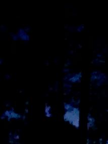"Waning Harvest Moon," Source Photograph, 10/6/20, 19:07, 43.539197, -70.312867 "Waning Harvest Moon," Source Photograph, 10/6/20, 19:07, 43.539197, -70.312867